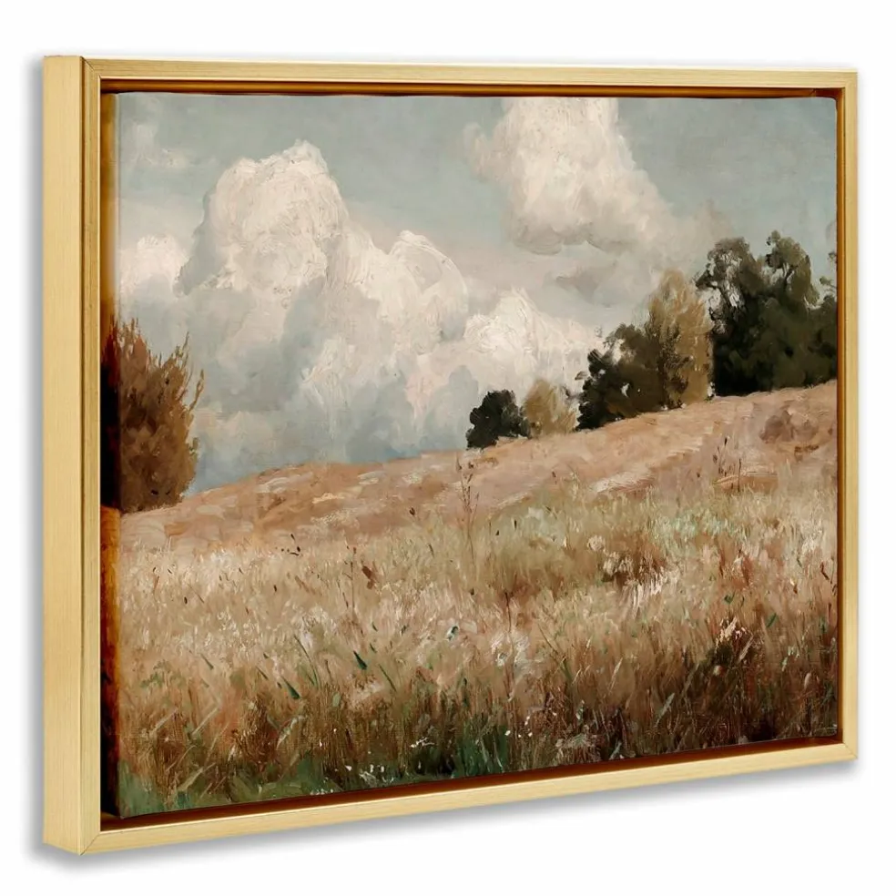 Stupell Industries Classic Cloudy Field Landscape Floater Framed Art