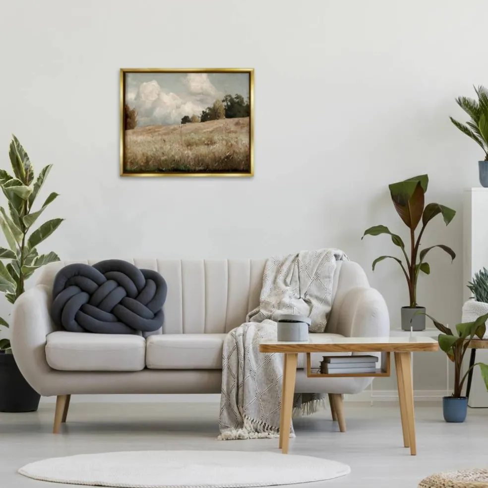 Stupell Industries Classic Cloudy Field Landscape Floater Framed Art