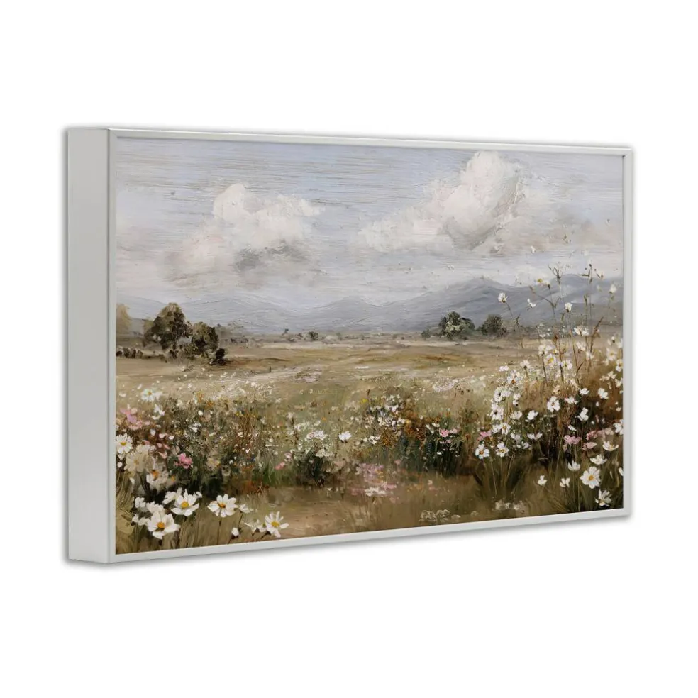 Stupell Industries Daisy Clusters in Field Framed Giclee, design by Jacky Ngan