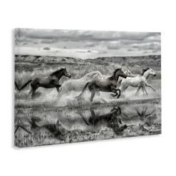 Stupell Industries Horses Splashing in Riverbank Canvas By PHBurchett