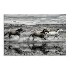 Stupell Industries Horses Splashing in Riverbank Canvas By PHBurchett
