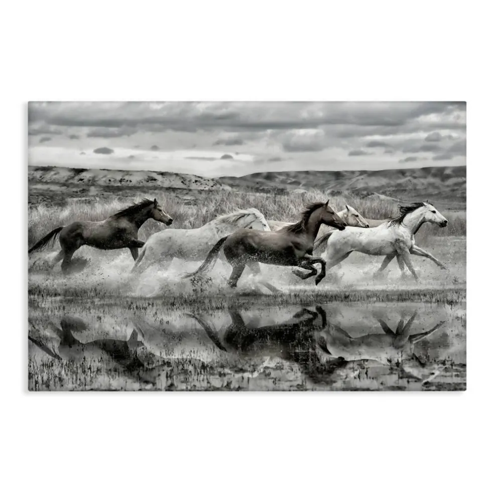 Stupell Industries Horses Splashing in Riverbank Canvas By PHBurchett