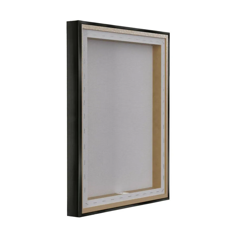 Stupell Industries Palm Springs House Photography Floater Framed Art
