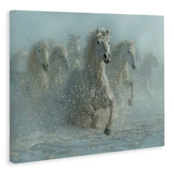 Stupell Industries Running Wild Horses Splashing Canvas, design by Collin Bogle