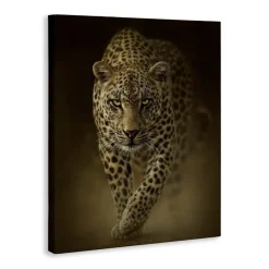 Stupell Industries Savage Leopard Predator Canvas, design by Collin Bogle