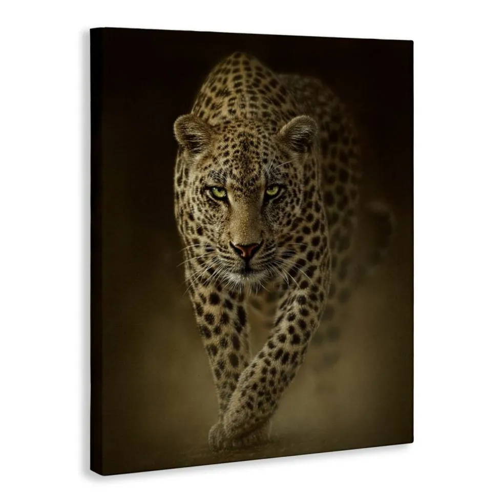 Stupell Industries Savage Leopard Predator Canvas, design by Collin Bogle