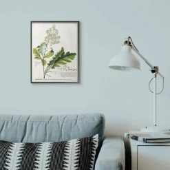 Stupell Industries Vintage Botanical Plant Illustration Framed Wall Art