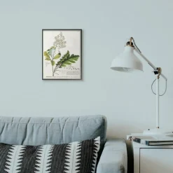 Stupell Industries Vintage Botanical Plant Illustration Framed Wall Art