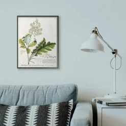 Stupell Industries Vintage Botanical Plant Illustration Framed Wall Art