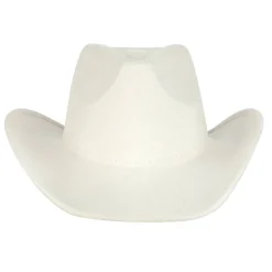 Suede Cowboy Hat by Make Market®