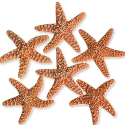 Sugar Starfish | 6 Brown Sugar Starfish 2"-3"