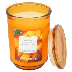 Summer Scented Jar Candle by Ashland®
