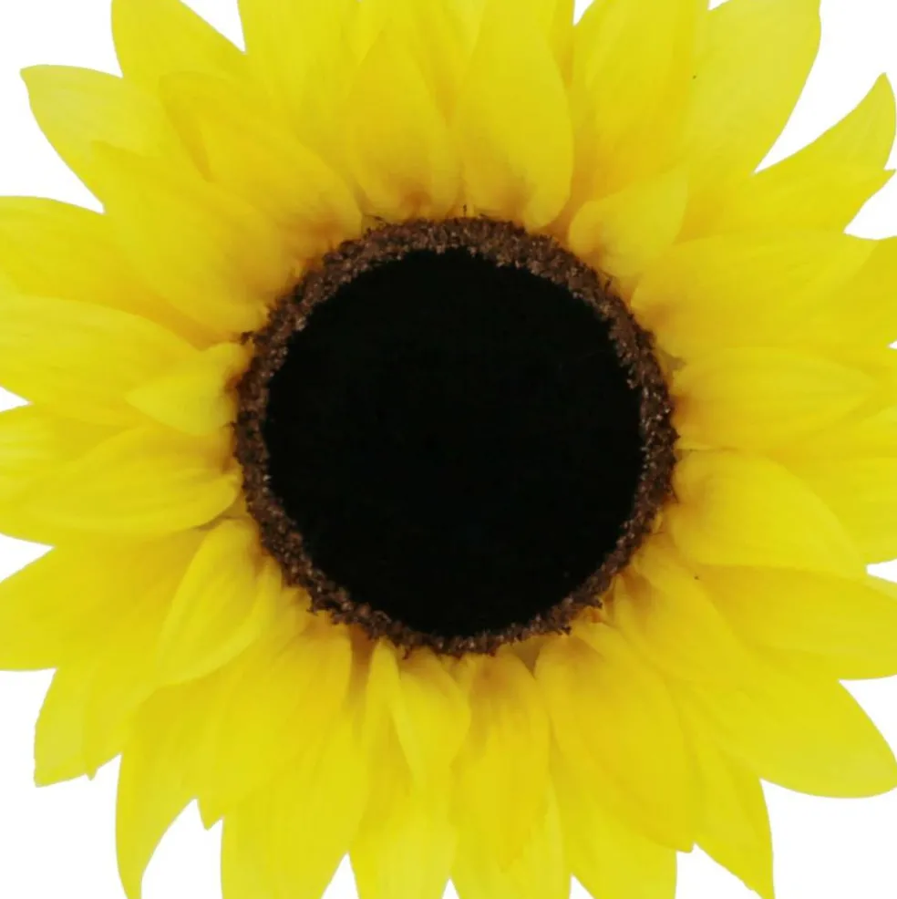 10" Sunflower Floral Accent by Ashland®