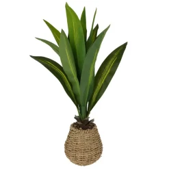 24" Tabletop Dracaena Plant in Woven Seagrass Pot by Ashland®
