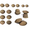 Tactile Shells - Eco-Friendly - 36 Pieces, 6 Textures, 3 Sizes - Ages 18m+