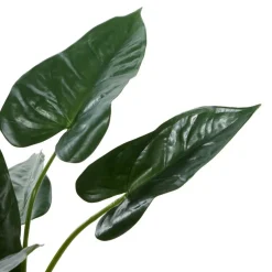 Tall Artificial Anthurium Leaf Plant w  Metal Pot for Indoor Decor, 18"
