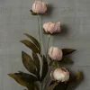 Tan Peony Stem by Ashland®