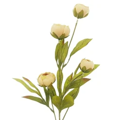 Tan Peony Stem by Ashland®