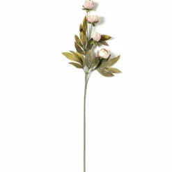 Tan Peony Stem by Ashland®