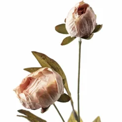 Tan Peony Stem by Ashland®