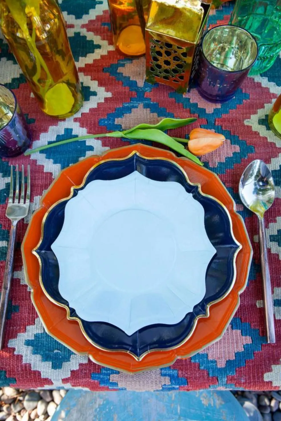 Terra Cotta Dinner Plates