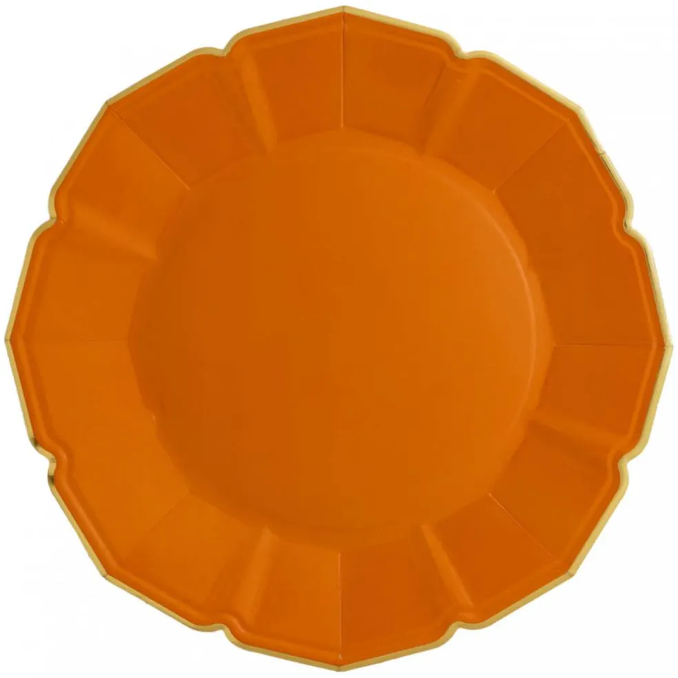 Terra Cotta Dinner Plates