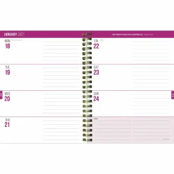 TF Publishing Medium 2026-27 Spicy Cat Weekly Monthly Planner