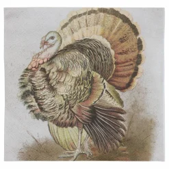 Thanksgiving Turkey Beverage Napkins, 20ct. by Celebrate It™