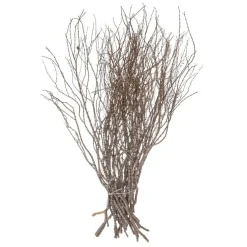 36" Tigerwood Stem Bundle - 25/Pk