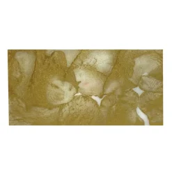 Tim Holtz® Alcohol Ink, 2oz.