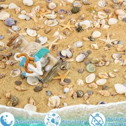 Tiny Natural Mixed Seashell & Starfish Set (6 Starfish + Mini Shells) – Ocean Beach Decor, Vase Fillers, DIY Crafts, Wedding & Fish Tank Coastal Decoration