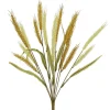 18" Toast Wheat Bush by Ashland®