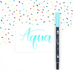 Tombow Dual Brush Pen