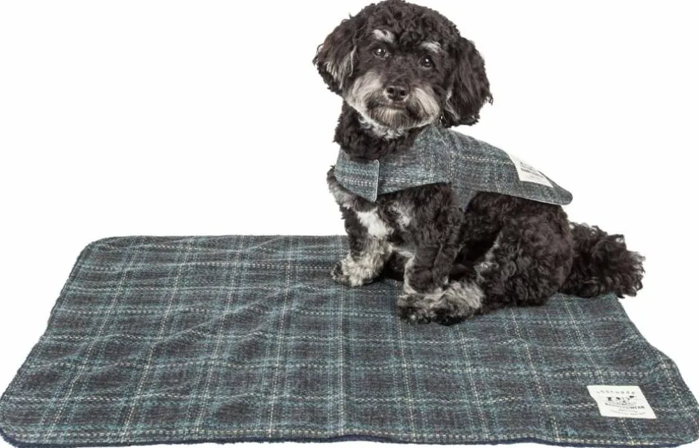 Touchdog 2-In-1 Windowpane Plaided Dog Jacket With Matching Reversible Dog Mat