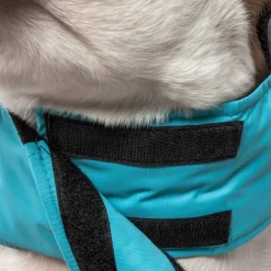Touchdog Lightening-Shield Waterproof 2-in-1 Convertible Dog Jacket with Blackshark technology