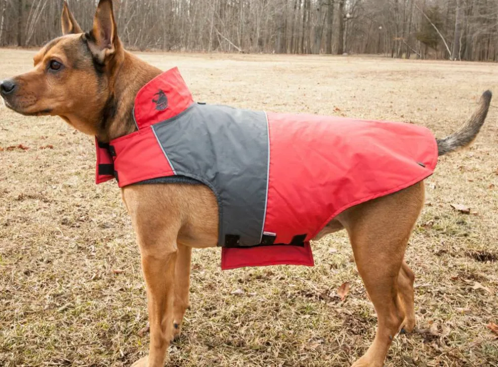 Touchdog Lightening-Shield Waterproof 2-in-1 Convertible Dog Jacket with Blackshark technology