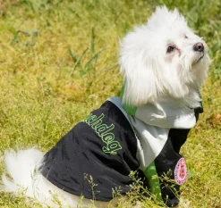 Touchdog Mount Pinnacle Pet Ski Jacket - Black