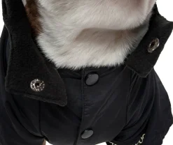 Touchdog Mount Pinnacle Pet Ski Jacket - Black