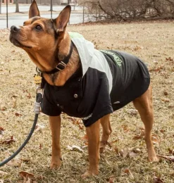 Touchdog Mount Pinnacle Pet Ski Jacket - Black