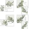 Trees of Faith - Boxed Assortment Encouragement Cards
