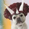 Triceratops Pet Costume with Headpiece and Horns for Dogs