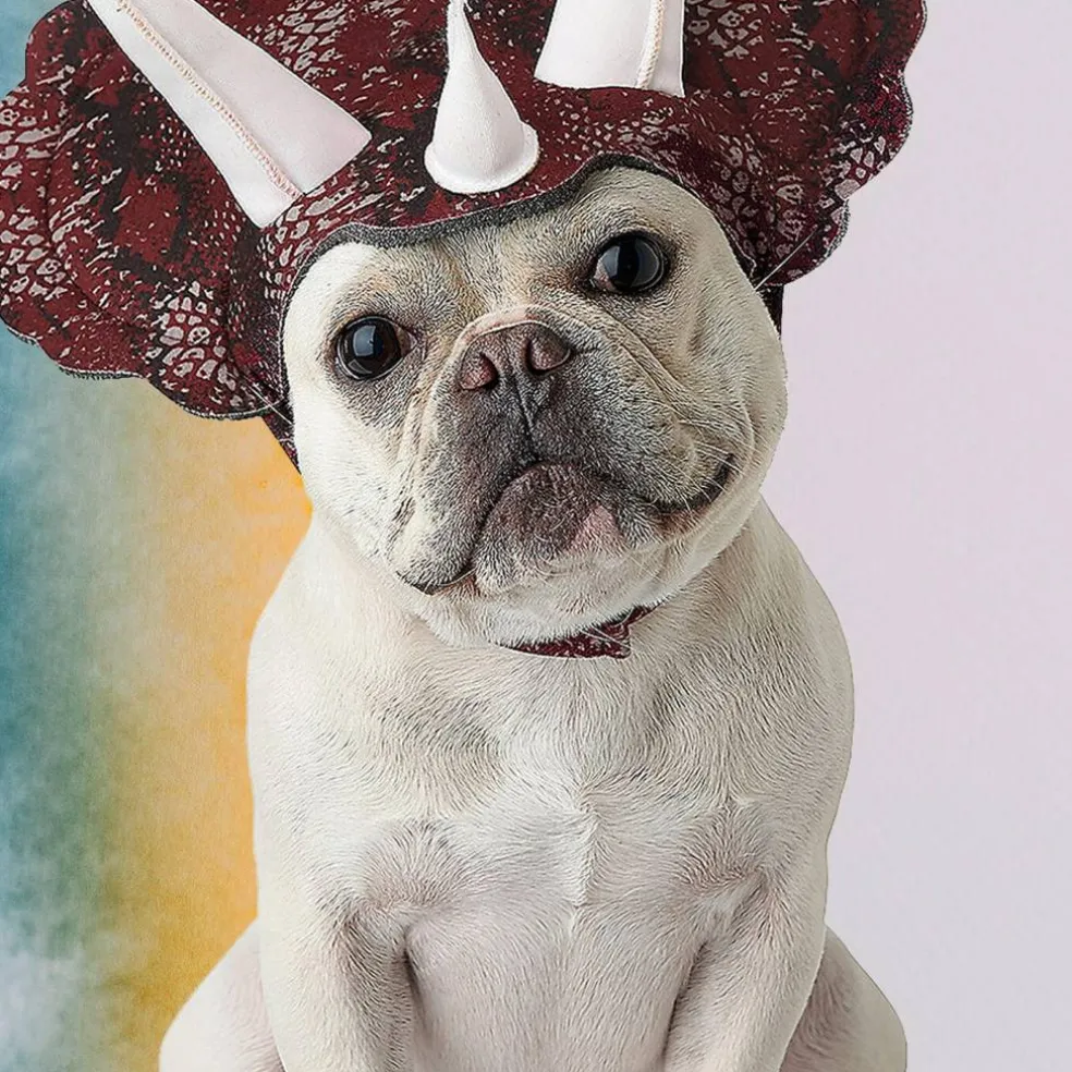 Triceratops Pet Costume with Headpiece and Horns for Dogs