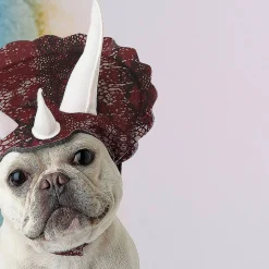 Triceratops Pet Costume with Headpiece and Horns for Dogs