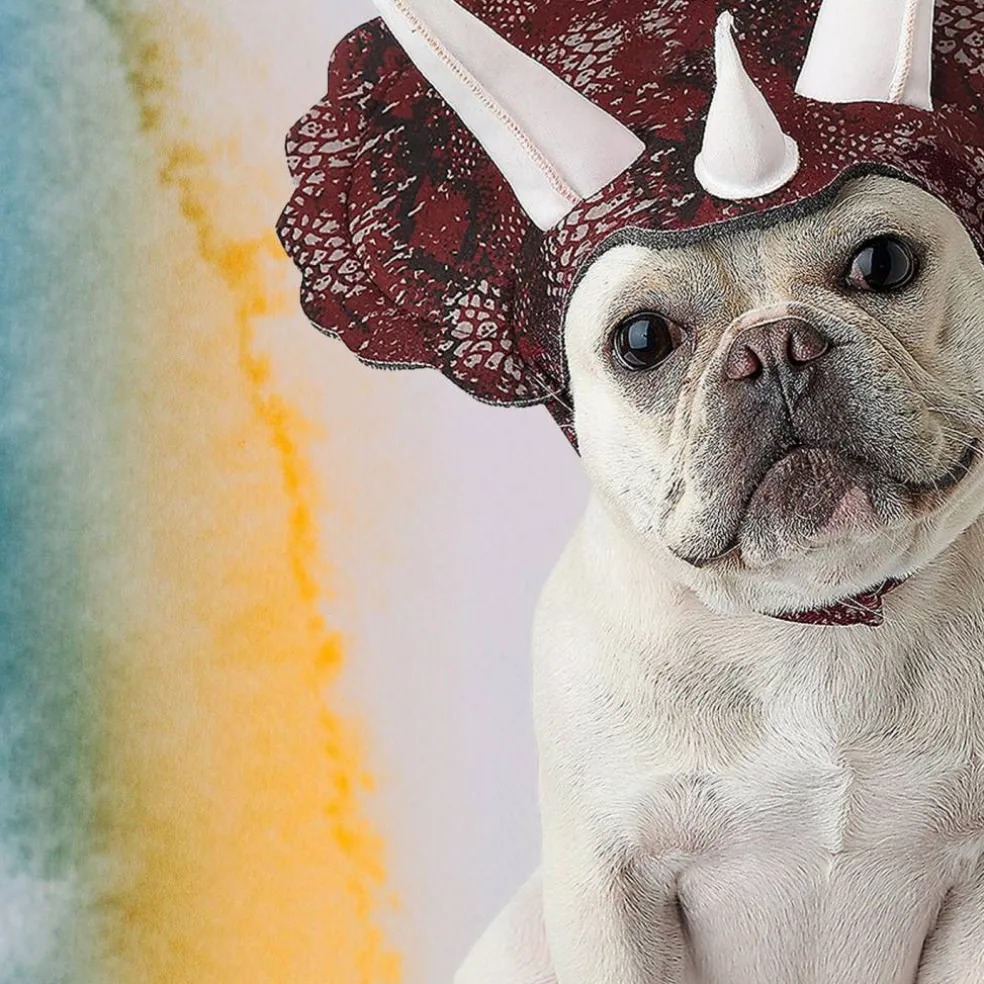 Triceratops Pet Costume with Headpiece and Horns for Dogs