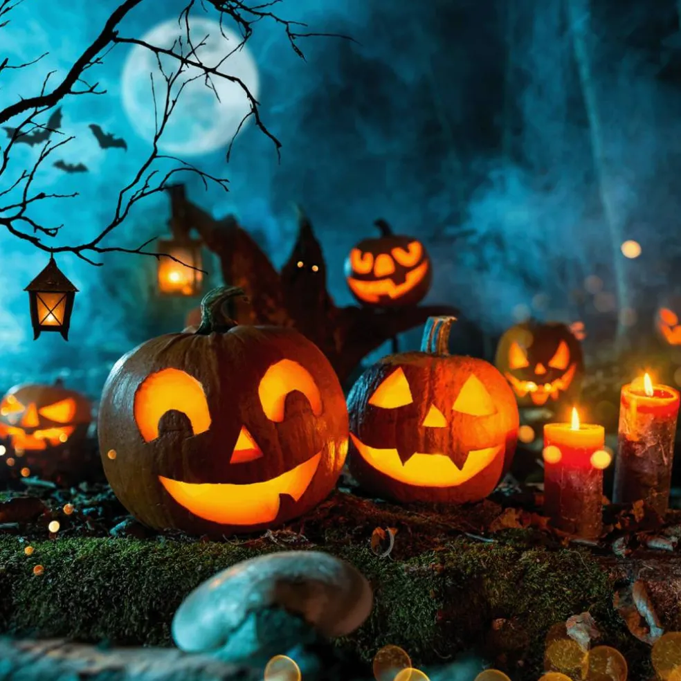 Trick or Treat: Haunted Pumpkin Scented Halloween Candle (14 oz)