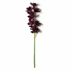 Tropical Cymbidium Spray by Ashland®