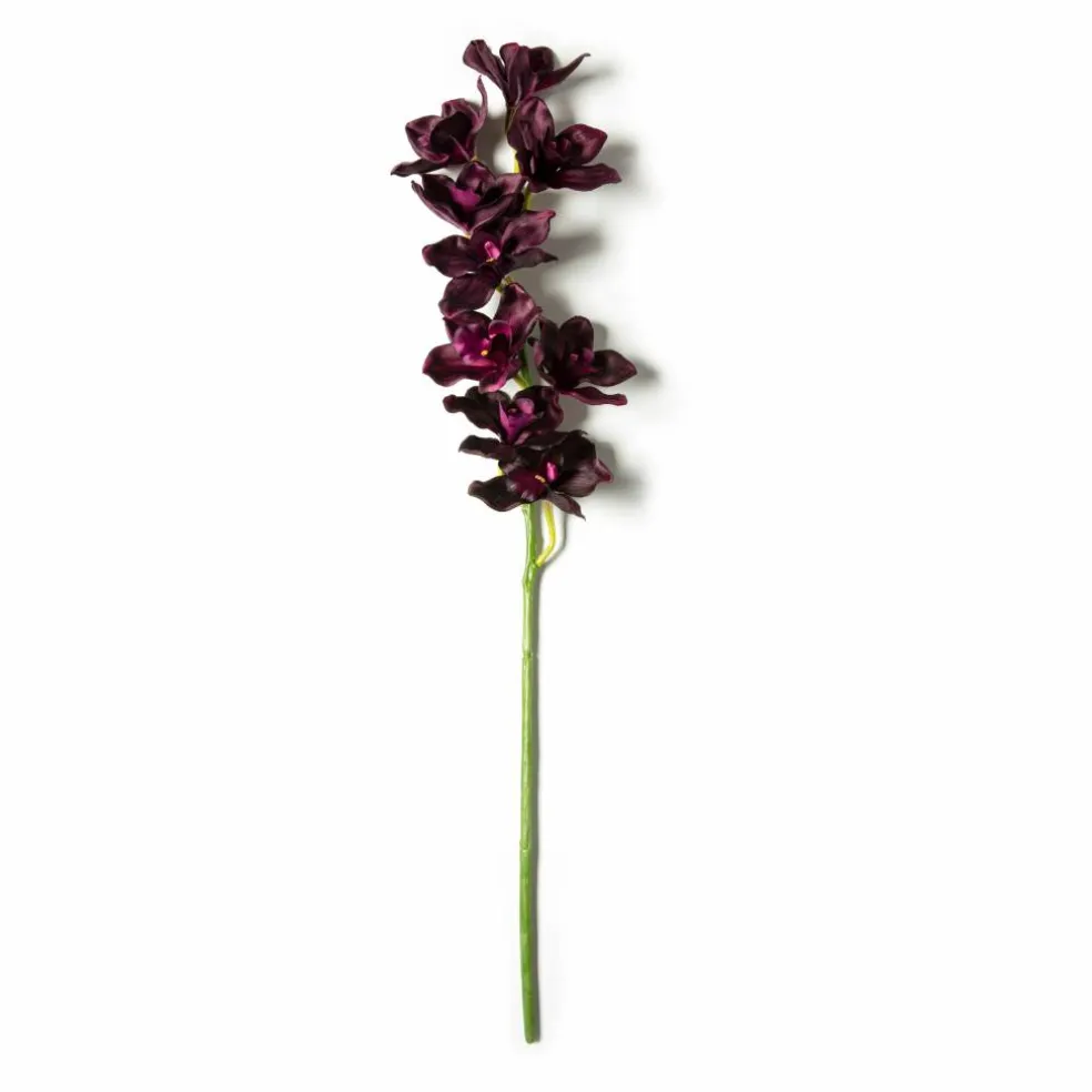 Tropical Cymbidium Spray by Ashland®