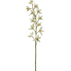 Tropical Cymbidium Stem by Ashland®