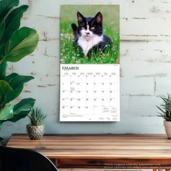 Tuxedo Cats | 2027 12 x 24 Inch (Hanging) Monthly Square Wall Calendar | Plastic-Free
