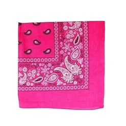 Unibasic Paisley 100% Cotton Bandana XL, head wrap, handkerchief - 10 Pack